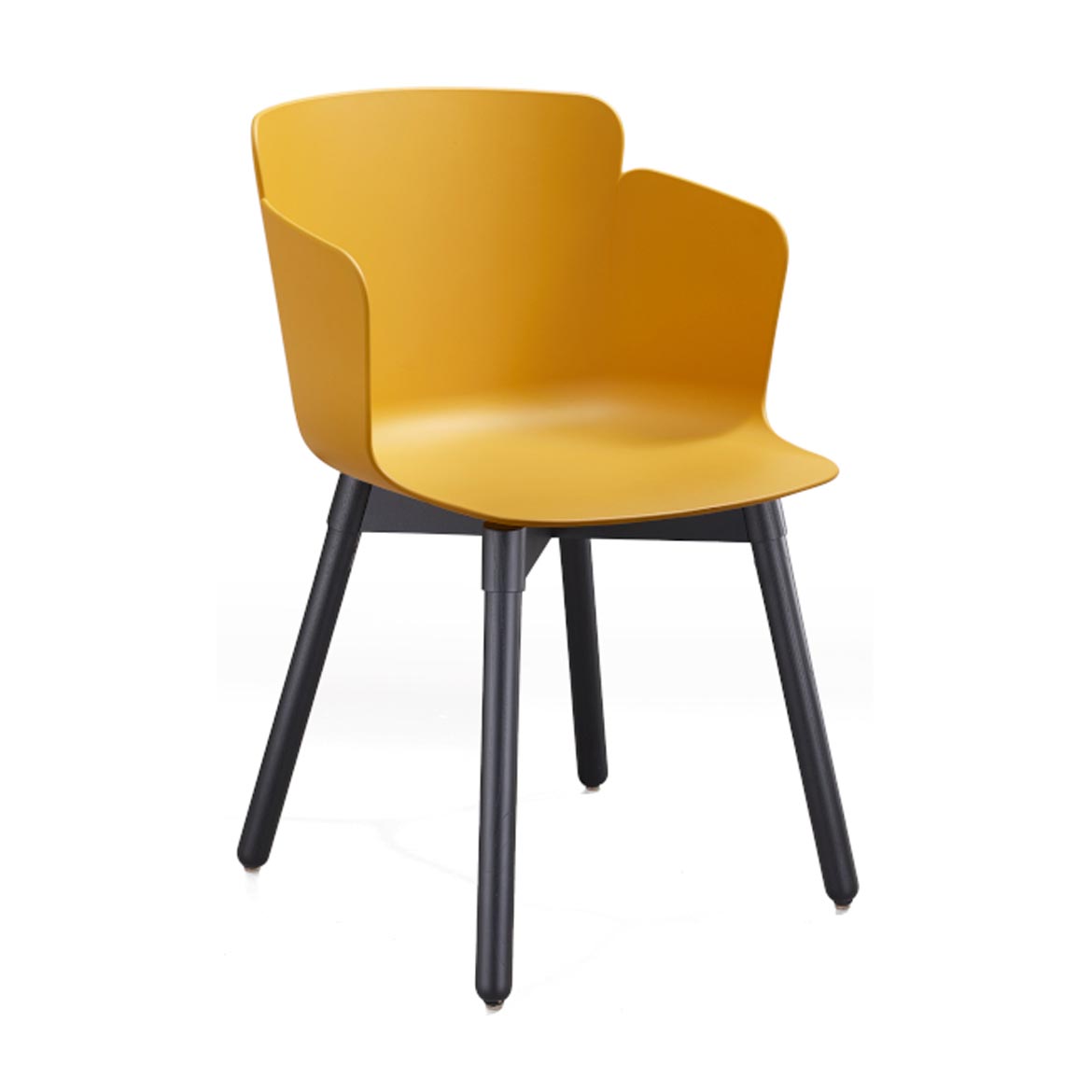 Calla 203 armchair